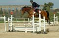 DSCF1408