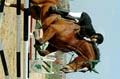 DSCF1428