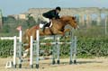 DSCF1438
