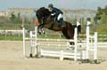 DSCF1442