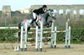 DSCF1459