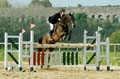 DSCF1464