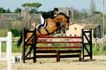 DSCF1493