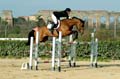 DSCF1494