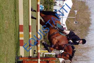DSCF1909