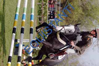 DSCF2003