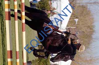 DSCF1639