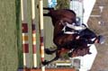 DSCF1678