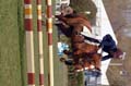 DSCF1727