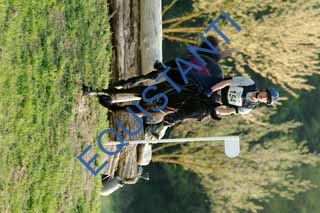 DSCF3164