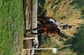 DSCF3204