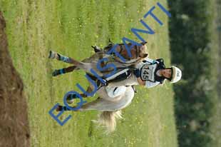 DSCF3747