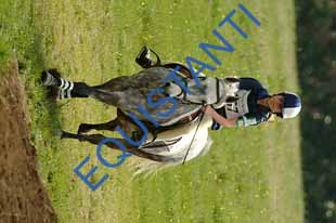 DSCF3785