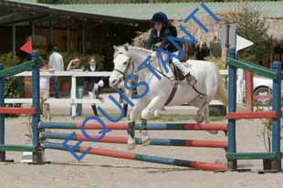 DSCF3517