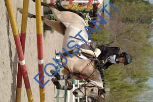 DSCF3594
