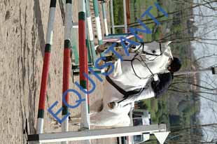 DSCF3420