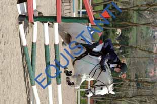 DSCF3464