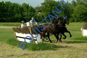 DSCF3959