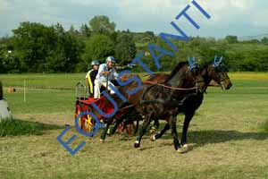 DSCF3961