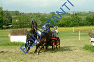DSCF3963