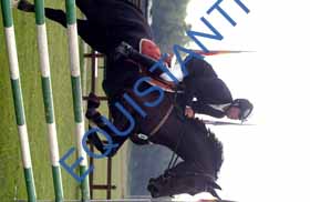 DSCF4437