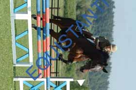DSCF5295