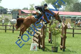 DSCF4797