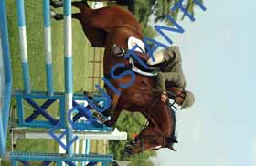 DSCF5023