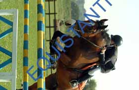 DSCF5070