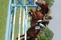 DSCF5769