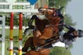 DSCF6182