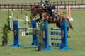 DSCF6394