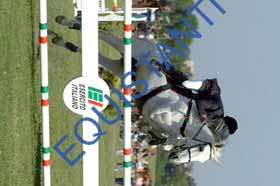 DSCF6549