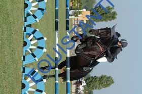 DSCF6591