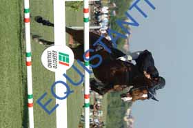 DSCF6595