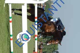 DSCF6639