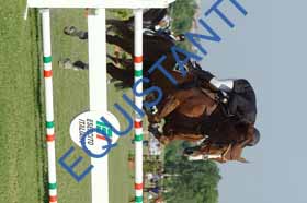 DSCF6661