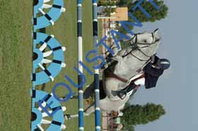 DSCF6699