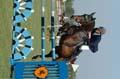 DSCF6558