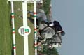 DSCF6697