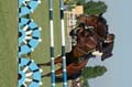 DSCF6717