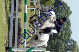 DSCF7037