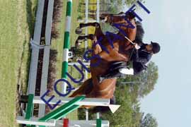 DSCF7099