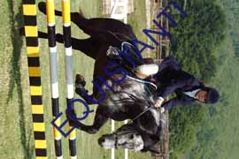 DSCF6901