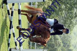 DSCF6906