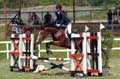 DSCF6967