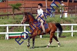 DSCF6789