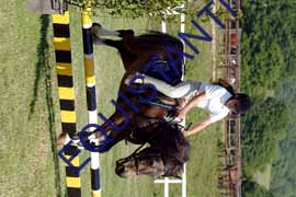DSCF6799