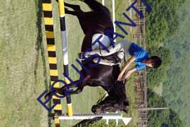 DSCF6819