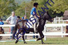 DSCF6820